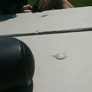 Meet your Posher, Ricky